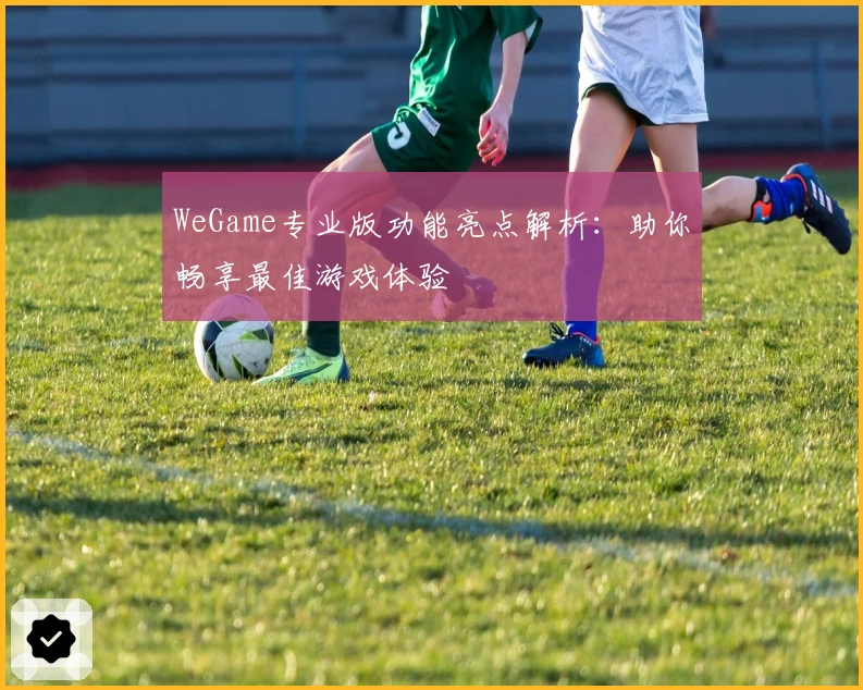 WeGame专业版功能亮点解析：助你畅享最佳游戏体验